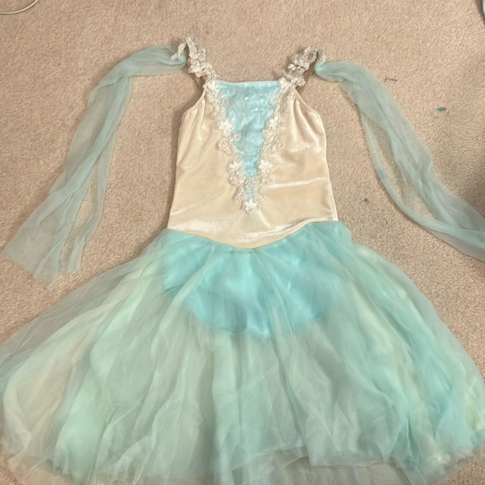 Dance Custom blue with a see through skirts